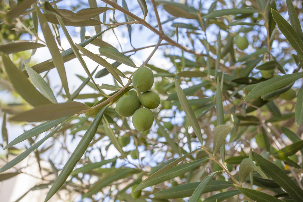 Willa Ombra De Pins Son Serra de Marina Zewnętrze zdjęcie